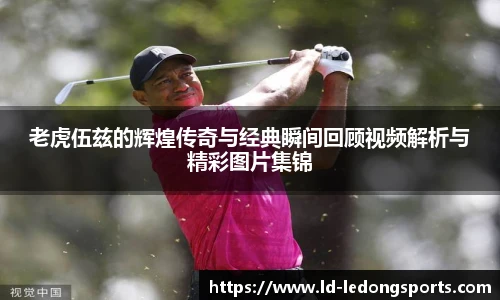 ldsports中文官网