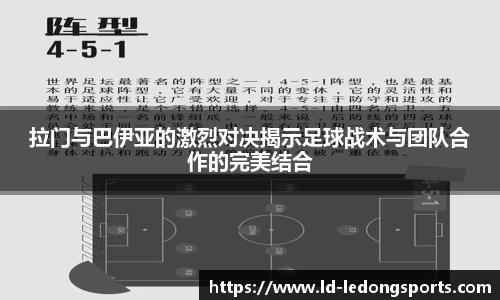乐动体育LDSPORTS官方网