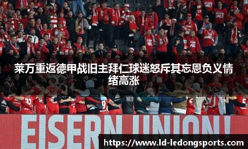 ld乐动体育中国登录入口
