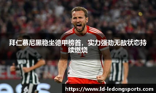 ldsports中文官网