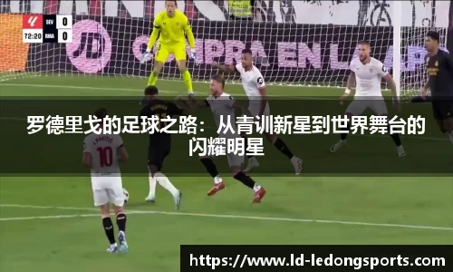 LDSports官网登录