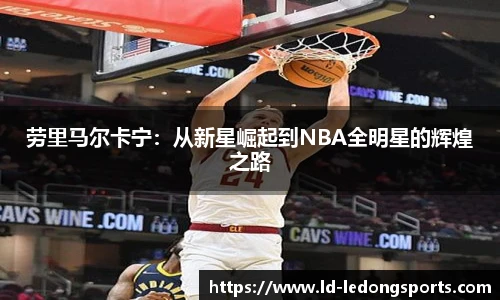 乐动体育LDSPORTS官方网
