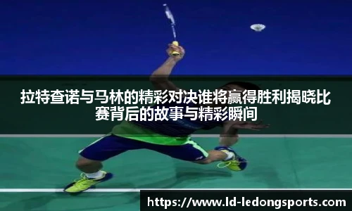 乐动体育LDSPORTS官方网